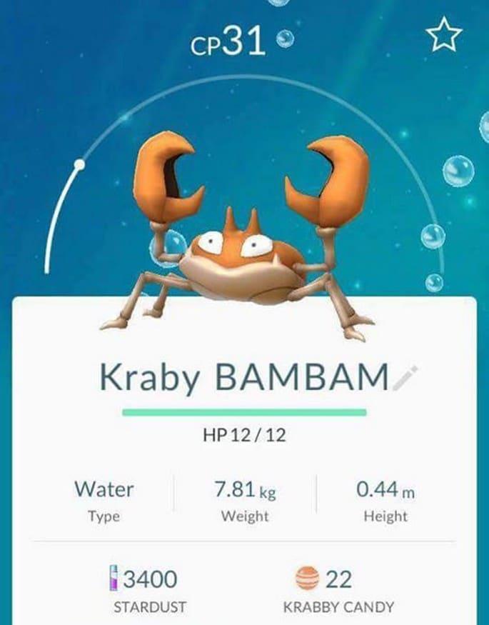 Brasileiros dão nomes a Pokémons e torna viral na internet! (8)