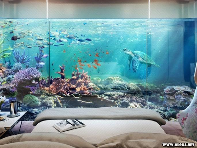 Casa flutuante que deixará a todos desejando uma 17 Casa flutuante que deixara a todos desejando uma 3