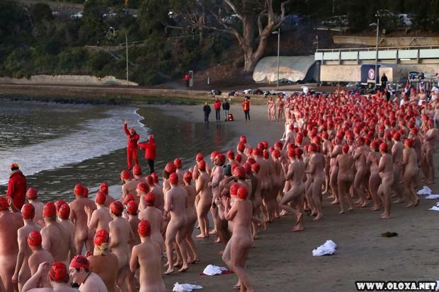 Centenas de australianos mergulham nus para celebrar o inverno 8
