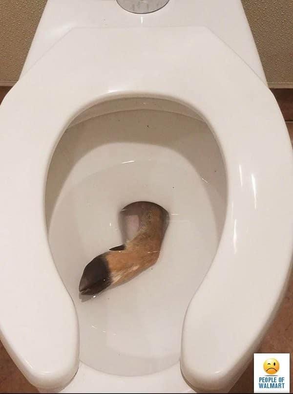 Clientes bizarros do Walmart pelo mundo 13