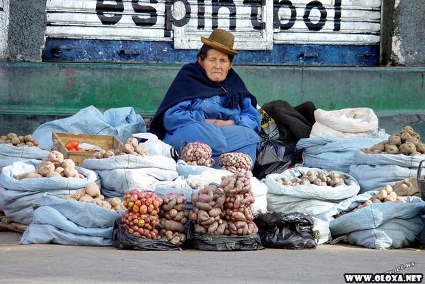 Comercio de rua em diferentes paises do mundo 17