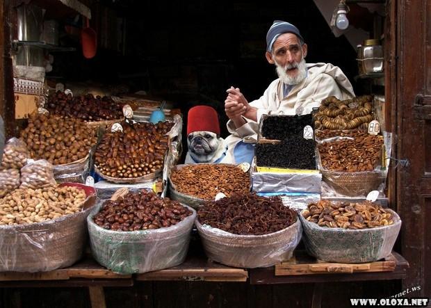 Comercio de rua em diferentes paises do mundo 22