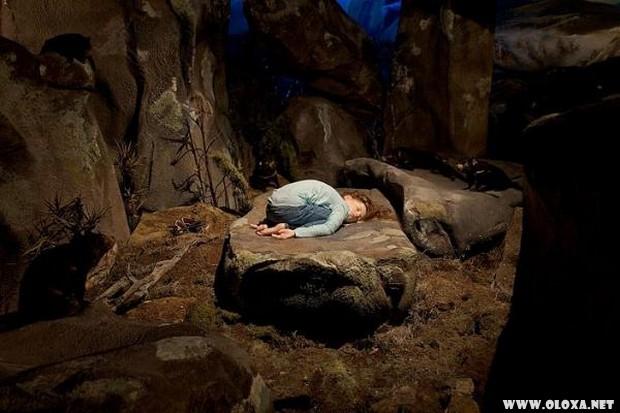 Criatividade bizarra nas esculturas de Patricii Piccinini 14