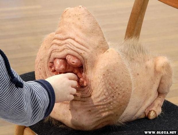 Criatividade bizarra nas esculturas de Patricii Piccinini 26