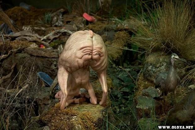 Criatividade bizarra nas esculturas de Patricii Piccinini 6