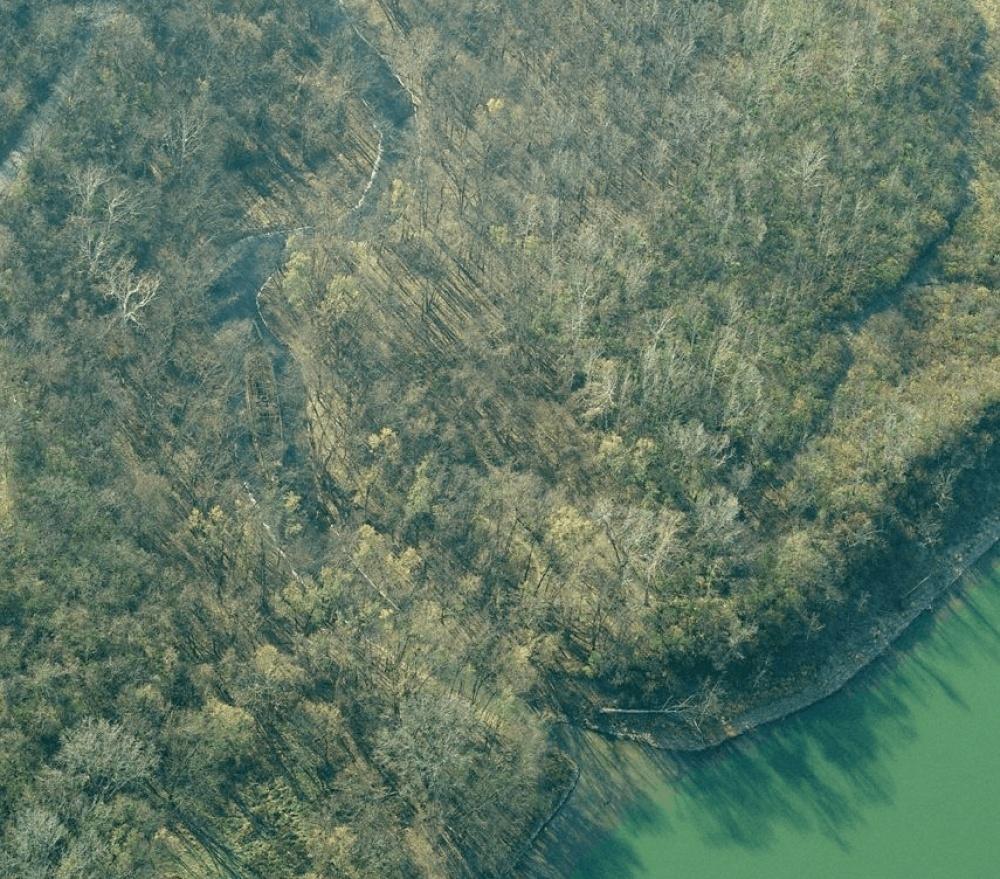 Curiosidades curiosas embarcacoes51