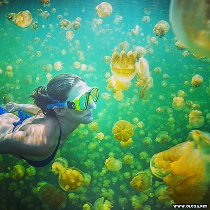 E por isso que o Havai e tao popular entre os turistas 10