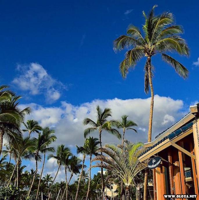 E por isso que o Havai e tao popular entre os turistas 31