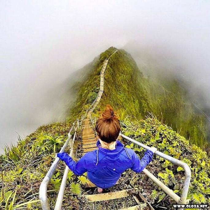 E por isso que o Havai e tao popular entre os turistas 6