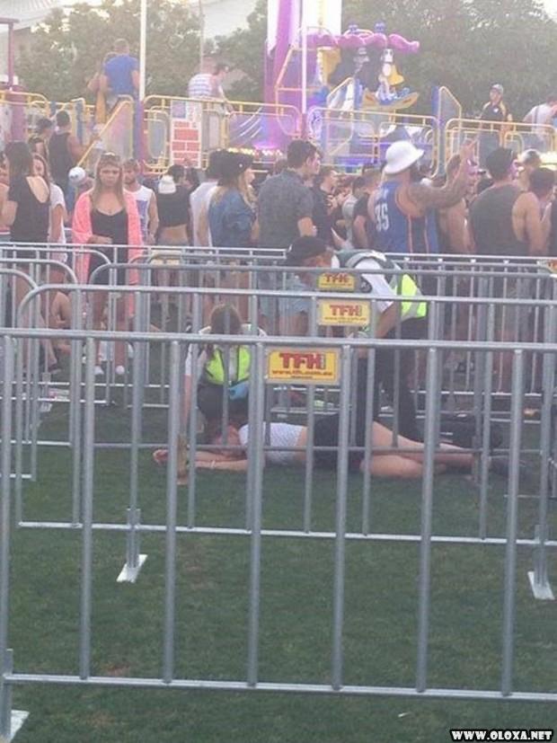 Festivais de musica um lugar onde tudo acontece 14