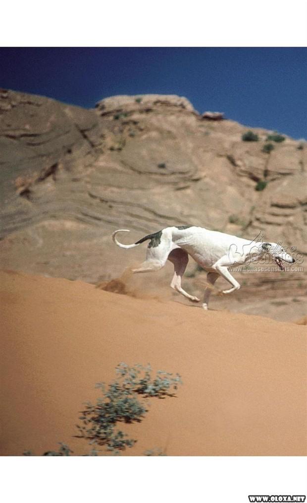 Fotos da Playboy Especial de Aniversario 40 anos 6