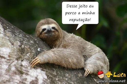 Olímpiadas de preguiça dos preguiçosos