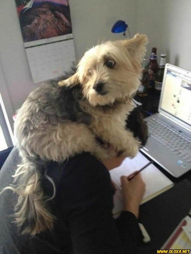 Imagens engracadas e bizarras 421