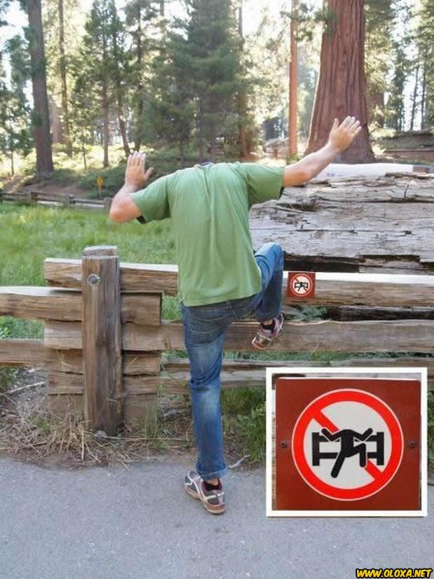 Imagens engracadas e bizarras 541