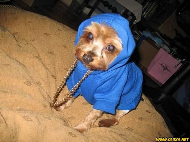 Imagens engracadas e bizarras 621