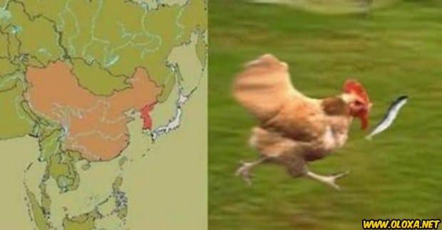 Imagens engracadas e bizarras 631