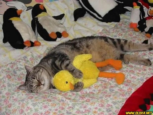 Imagens engracadas e bizarras 791