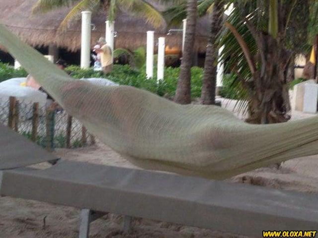 Imagens loucas de pessoas bebadas 32