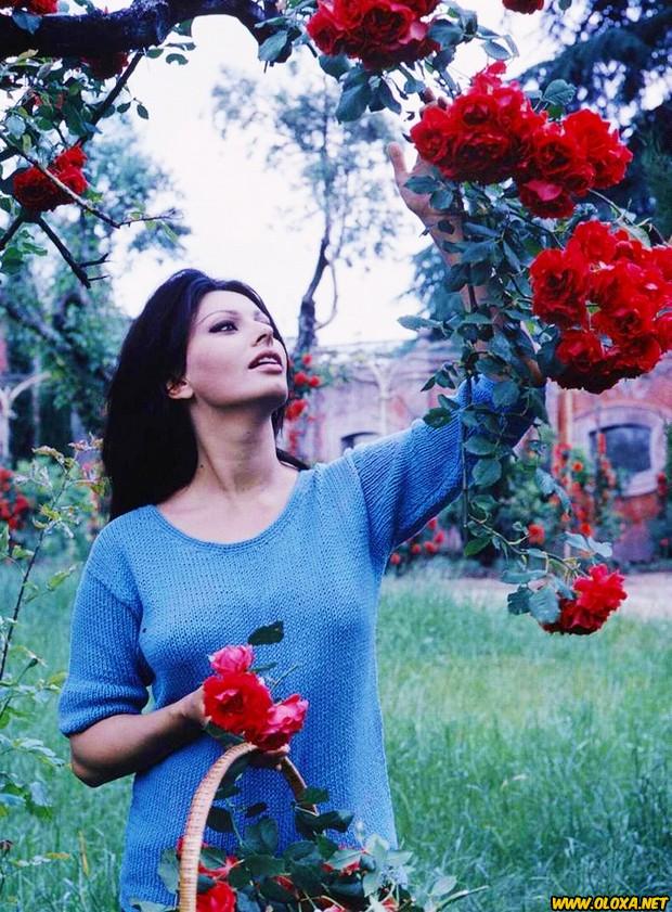 Imagens para descontrair 27