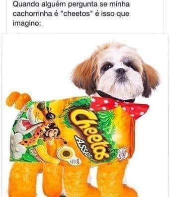 Memes diários que não tem todo dia! #2 33 Memes diarios que nao tem todo dia 2 21