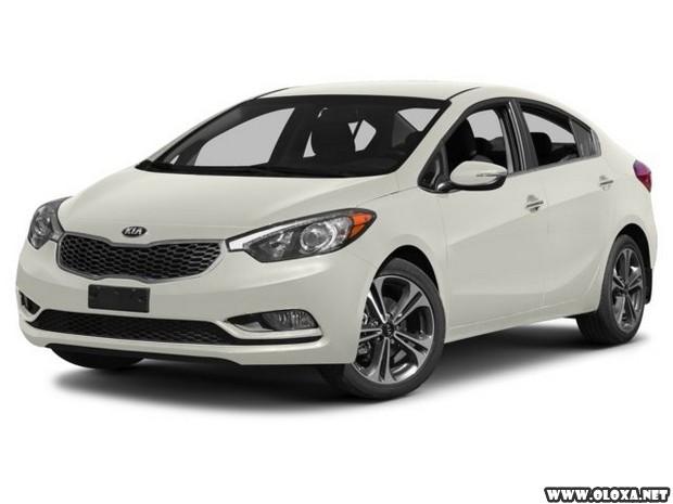 Motorista e passageiro saem vivos apos serem esmagados por um container 5