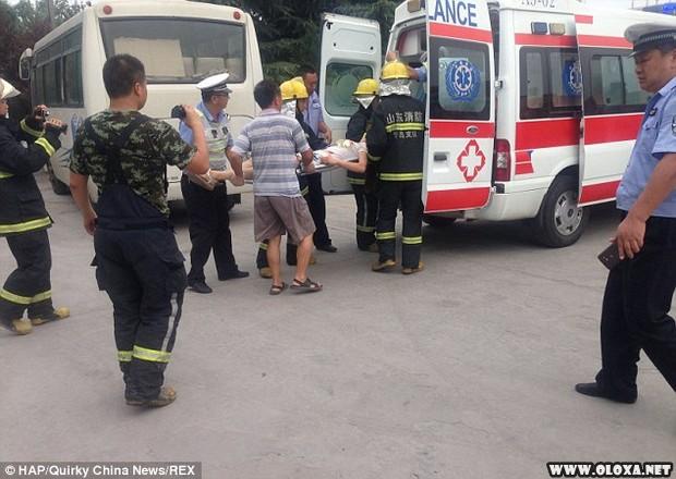 Motorista e passageiro saem vivos apos serem esmagados por um container 7