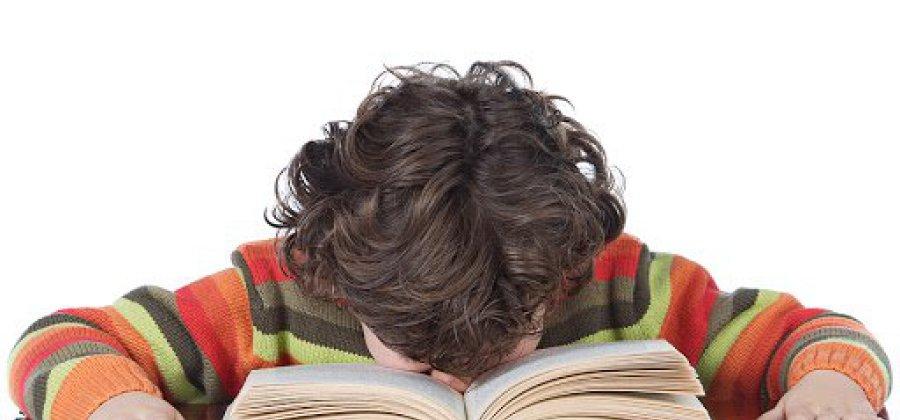 Noticias Doidas Provas