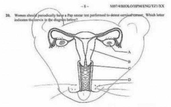 Noticias Doidas Provas11