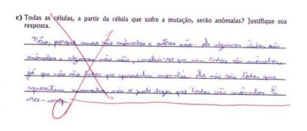 Noticias Doidas Provas17