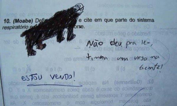 Noticias Doidas Provas9