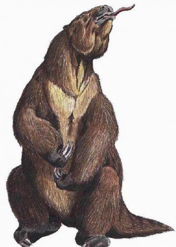 Noticias doidas animais pre historico1