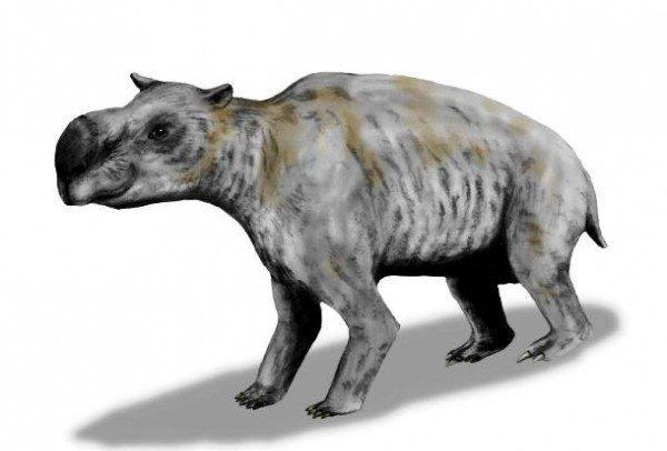 Noticias doidas animais pre historico2