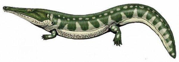 Noticias doidas animais pre historico4