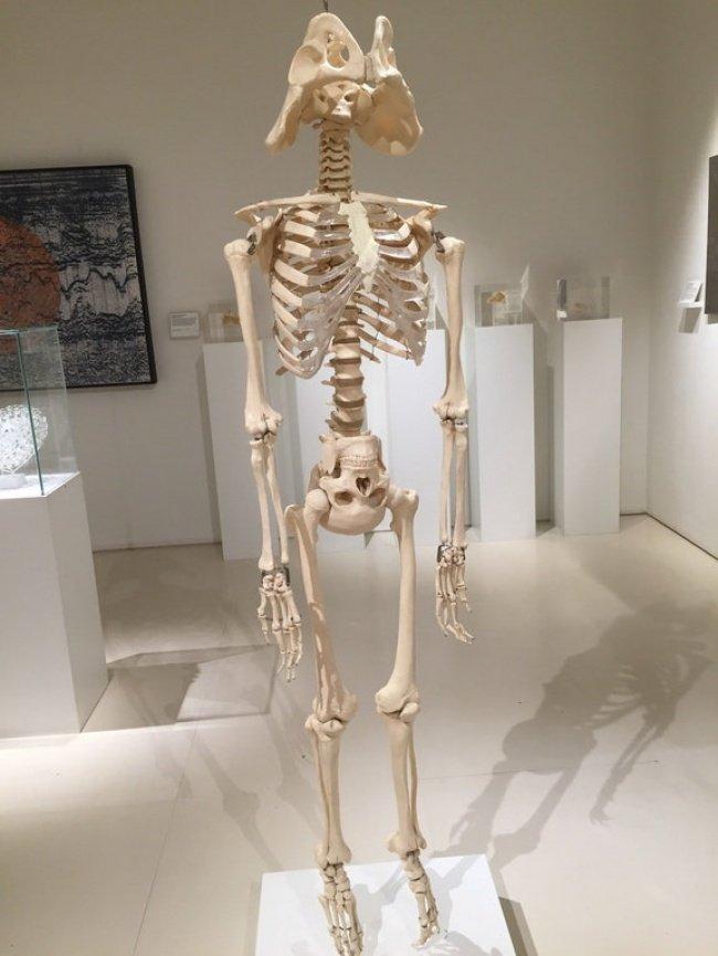 Algumas fotos que provam que os homens nem sempre amadurecem Algumas fotos que provam que os homens nem sempre amadurecem