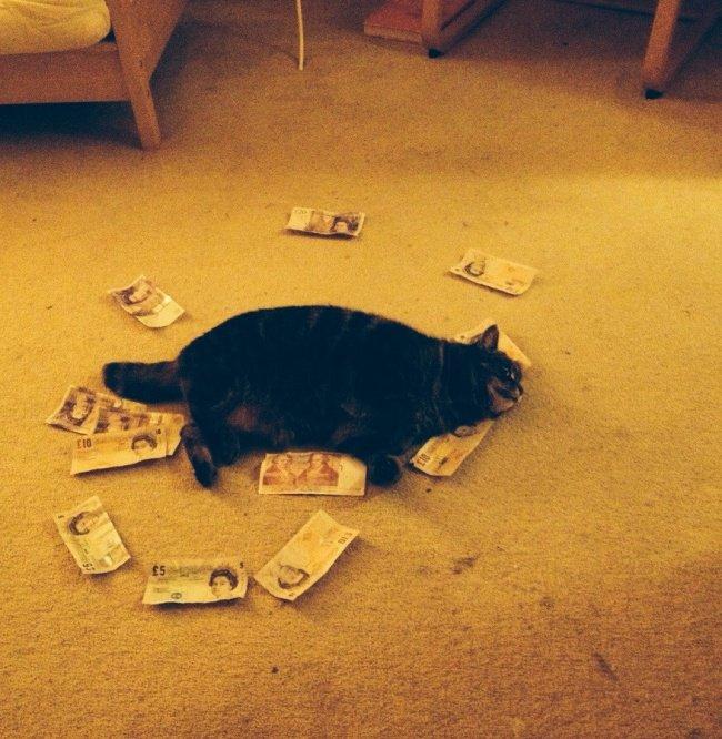Algumas fotos que provam que os homens nem sempre amadurecem 14 Noticias doidas pessoas que nao cresce2