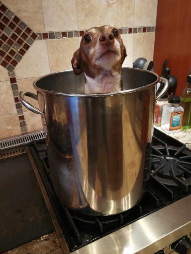 Algumas fotos que provam que os homens nem sempre amadurecem 18 Noticias doidas pessoas que nao cresce4