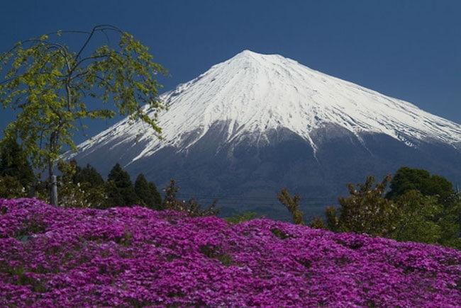 O Japão é formado predominantemente por montanhas