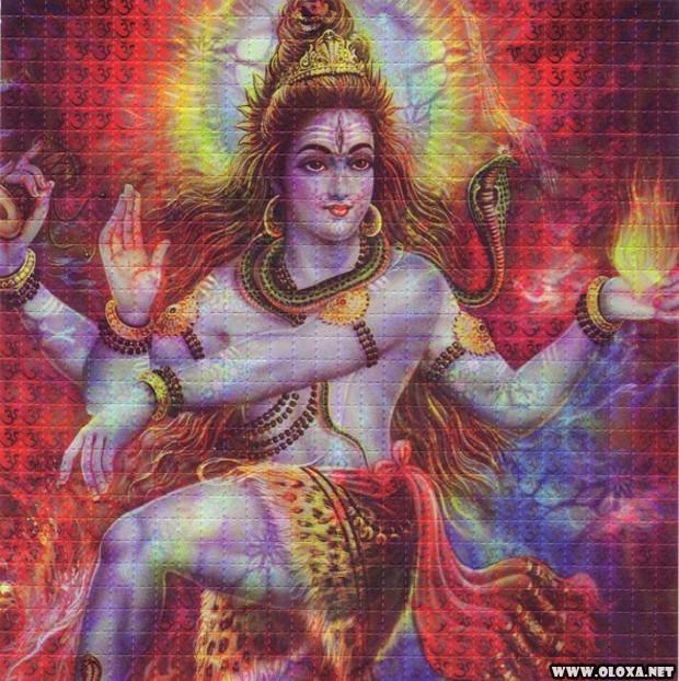 O maior colecionador de LSD em cartela do mundo 7