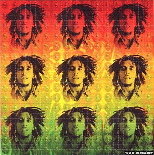 O maior colecionador de LSD em cartela do mundo 8