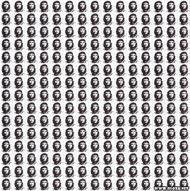 O maior colecionador de LSD em cartela do mundo 9