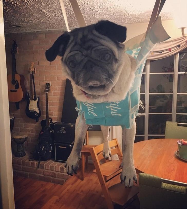 Oloxa ideias do futuro 4