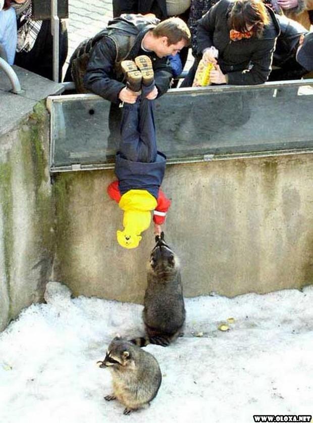 Pais E Filhos Fail 2