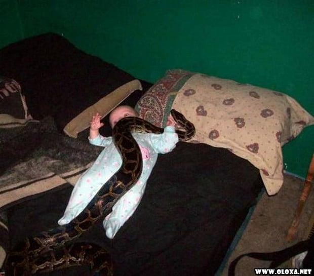 Pais E Filhos Fail 5