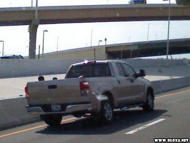 Pais E Filhos Fail 9