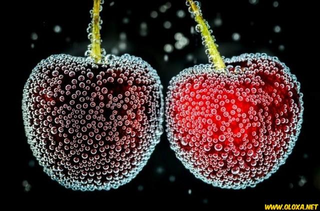 Planeta maravilhoso sem photoshop 16