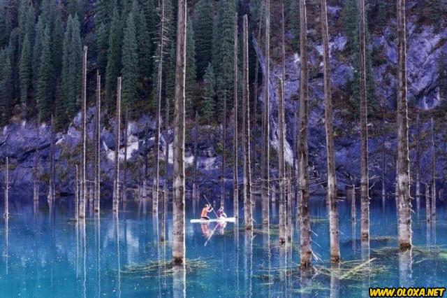 Planeta maravilhoso sem photoshop 22