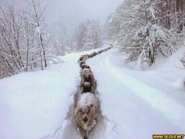 Planeta maravilhoso sem photoshop 3