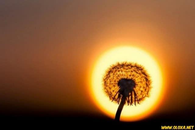 Planeta maravilhoso sem photoshop 7