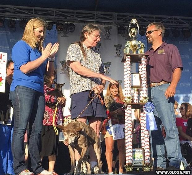 Recebendo o premio de cachorro mais feio do mundo 5