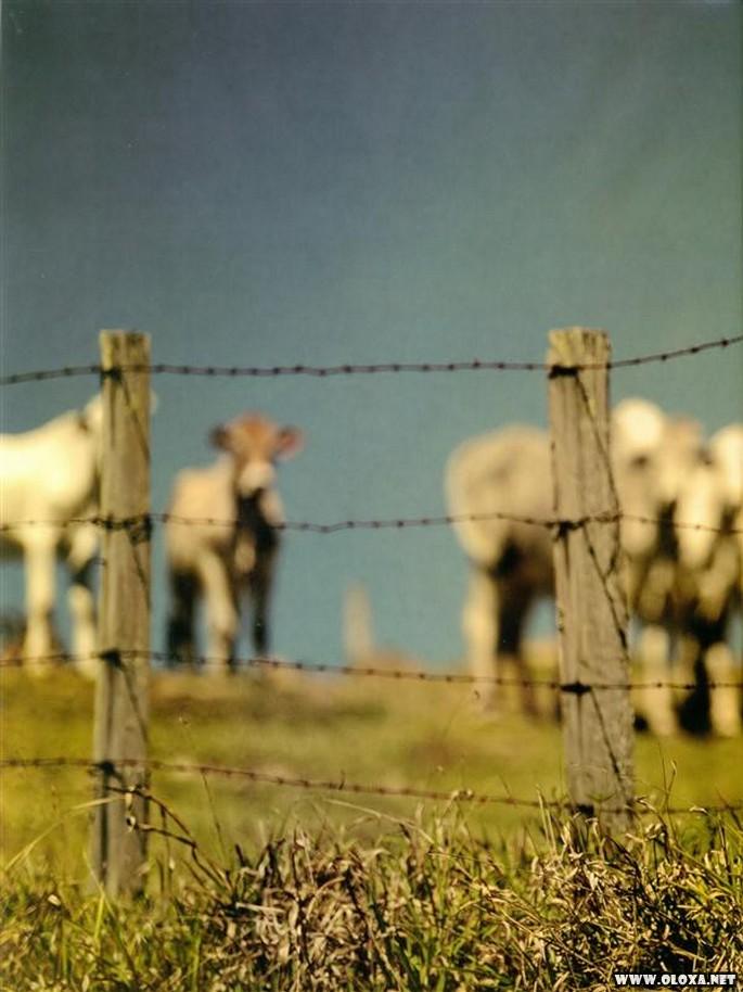 Sexy de Outubro Fernanda Alves 20